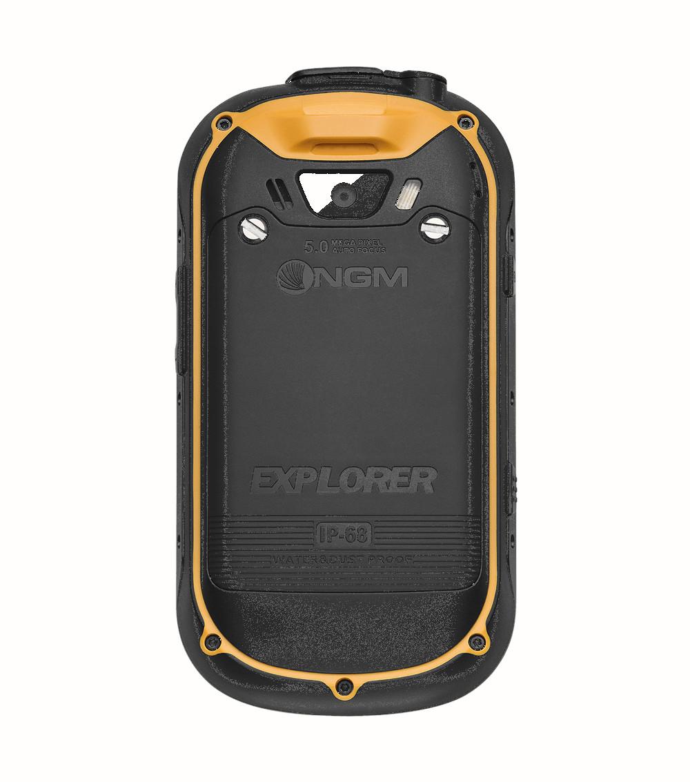 NGM Explorer